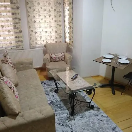 アパートホテル Istanbul City Hotel *